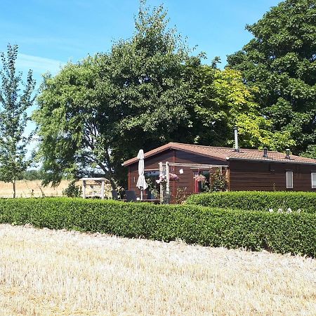 Villa Bie Oans Oefje Lewedorp Exterior foto