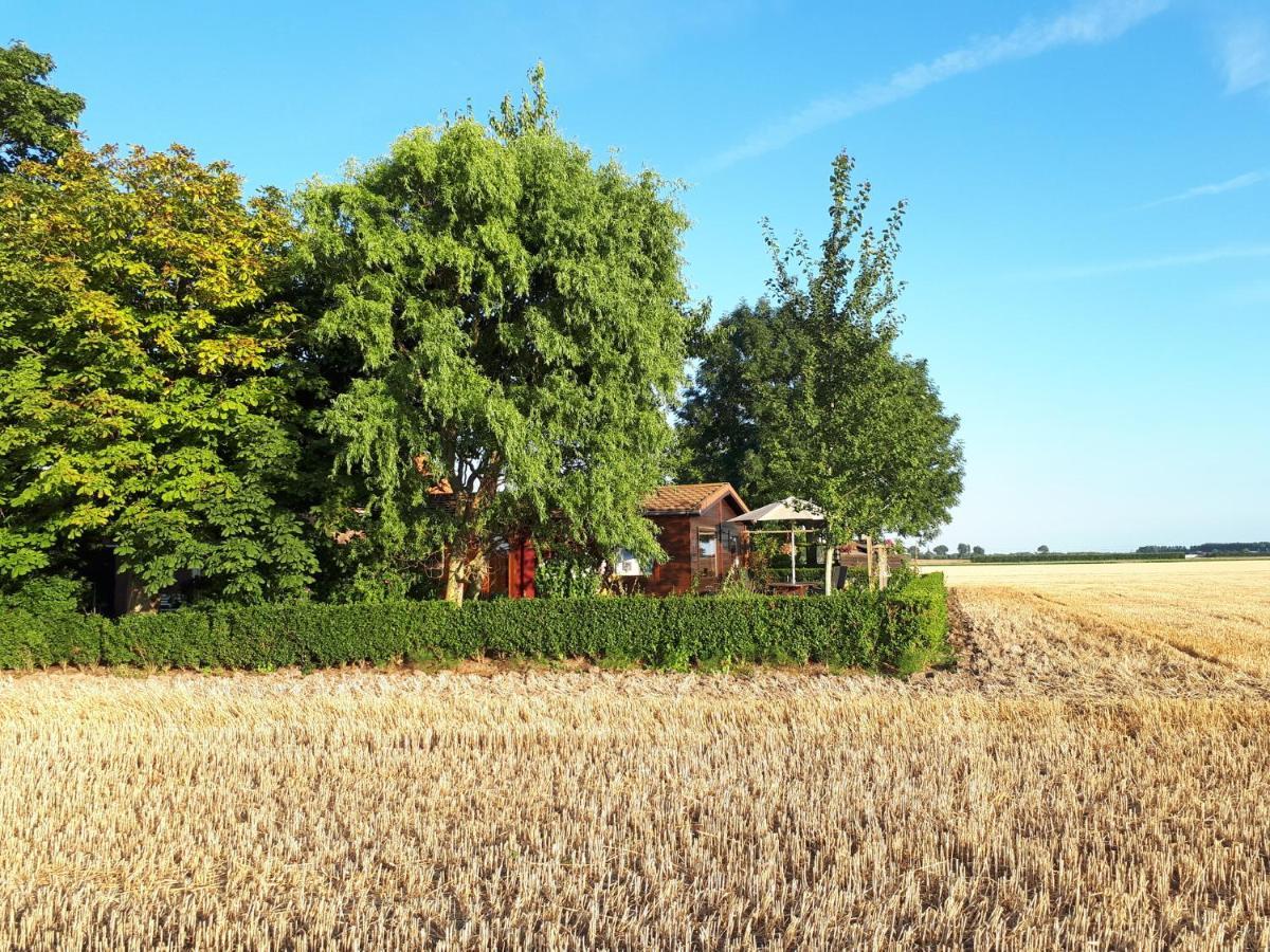 Villa Bie Oans Oefje Lewedorp Exterior foto