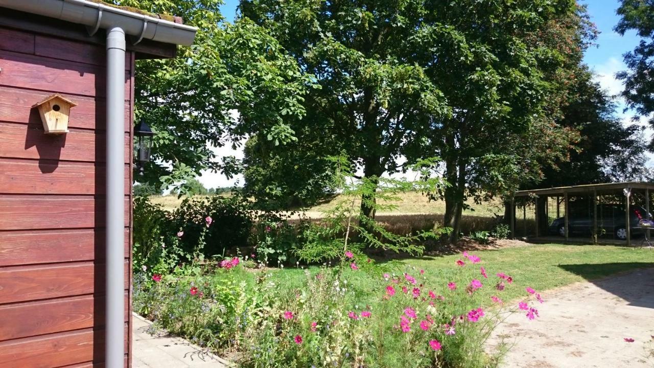 Villa Bie Oans Oefje Lewedorp Exterior foto